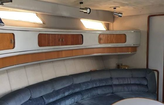 Sea Ray 455 Sundancer Octapus