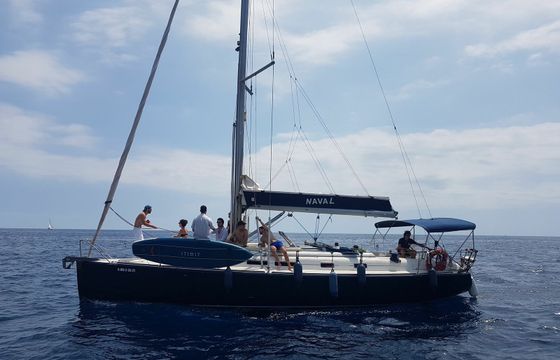 Ronautica 400 Naval
