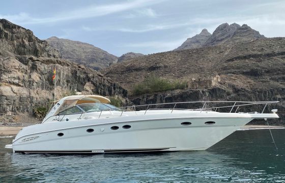 Sea Ray 460 New  Infinity