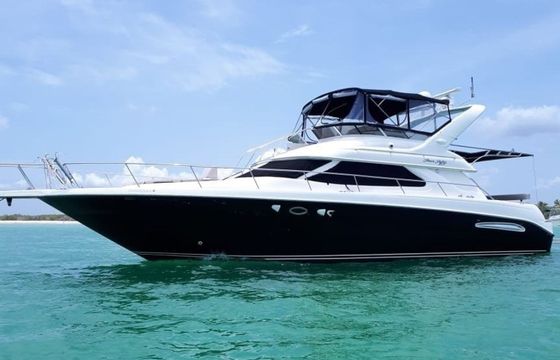 Sea Ray 48 Maestro