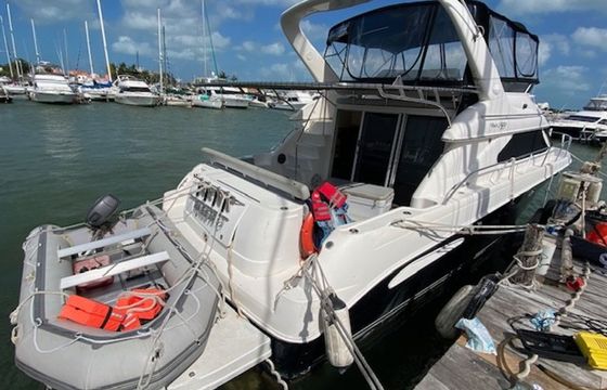 Sea Ray 48 Maestro