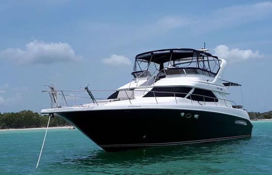Sea Ray 48 Maestro