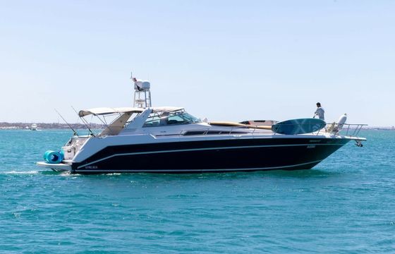 Sea Ray 50 Alegra