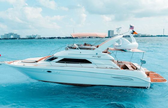 Sea Ray 50 Sea Monkey