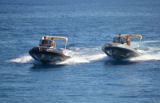 Salpa Soleil 21 Iason