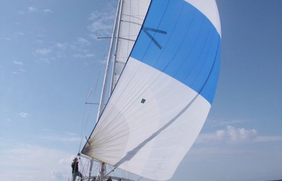 Salona 44 Daddy's Toy