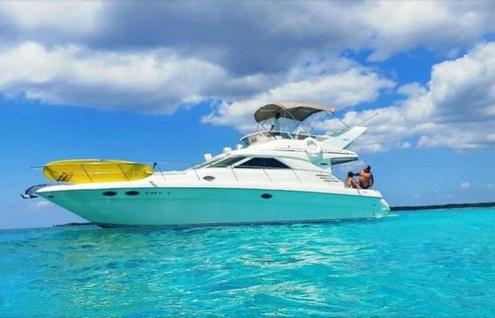 Sea Ray Sedane Bridge 400 Aquaman