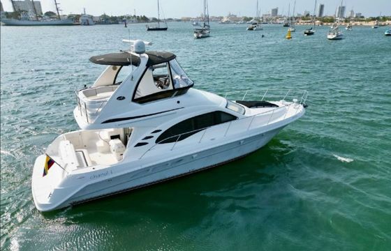 Sea Ray Sedane Bridge 400 Chanul