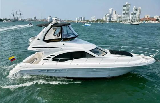 Sea Ray Sedane Bridge 400 Chanul