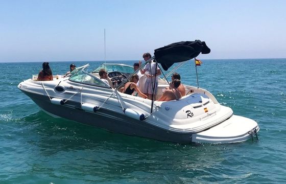 Sea Ray Sundeck 240 Ro