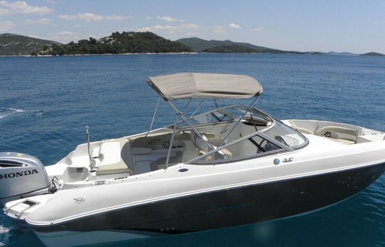 Stingray 234 Stingray