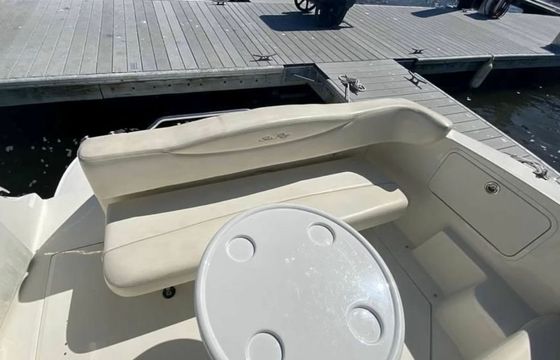 Sea Ray 280 The Great Escape