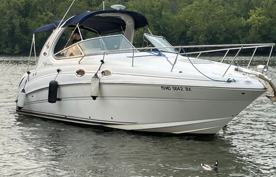 Sea Ray 280 The Great Escape