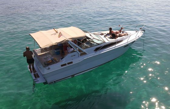 Sea Ray 300 Chipirón