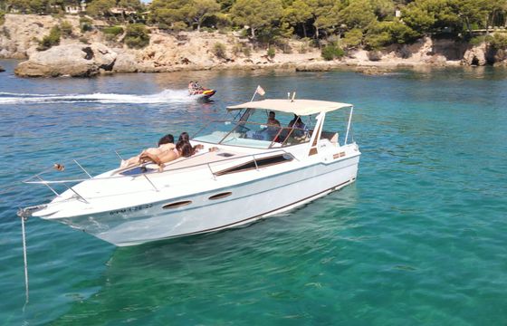 Sea Ray 300 Chipirón