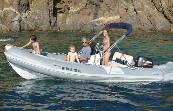 Stingher 500 10