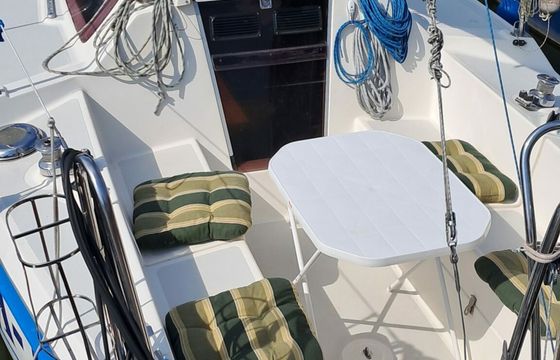 Sasanka 620 Artemis