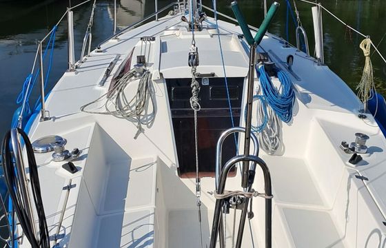 Sasanka 620 Artemis