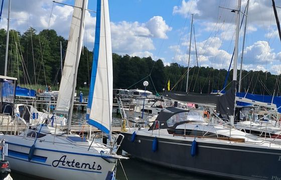Sasanka 620 Artemis