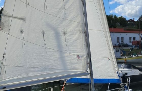 Sasanka 620 Artemis