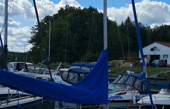 Sasanka 620 Artemis
