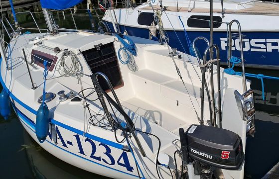 Sasanka 620 Artemis