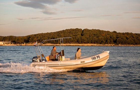 Stingher 550 Stingher