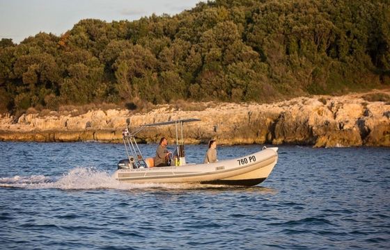 Stingher 550 Stingher