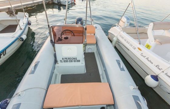 Stingher 550 Stingher