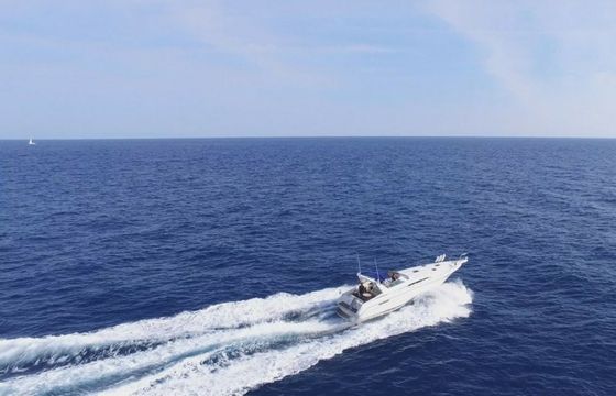 Sea Ray 420 Sundancer Alma Libre