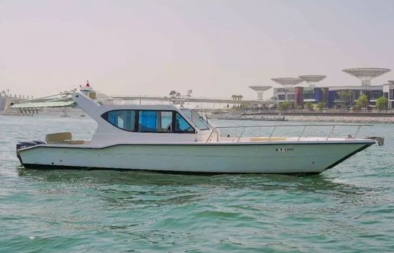 Seamaster 41 Star
