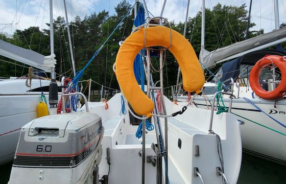 Sasanka 620 Brydzia