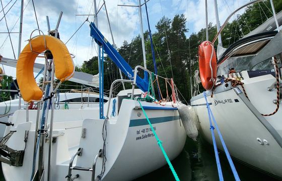 Sasanka 620 Brydzia
