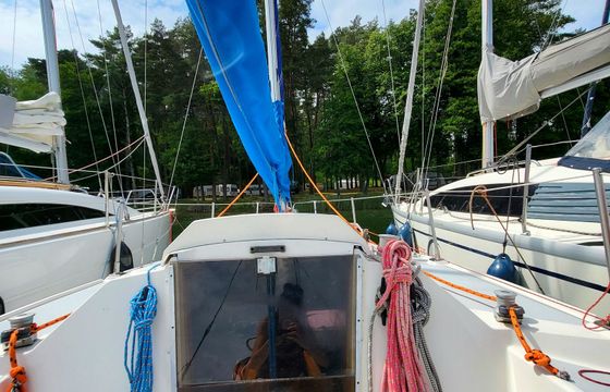 Sasanka 620 Brydzia