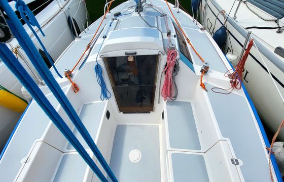 Sasanka 620 Brydzia