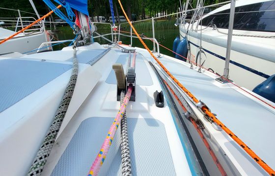 Sasanka 620 Brydzia
