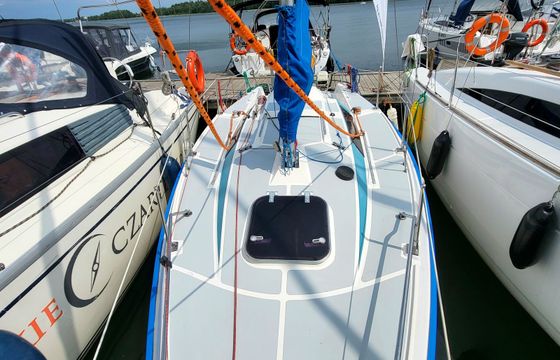 Sasanka 620 Brydzia