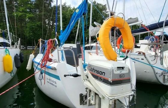 Sasanka 620 Brydzia
