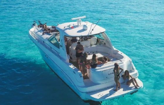 Sea Ray 46 Hampton