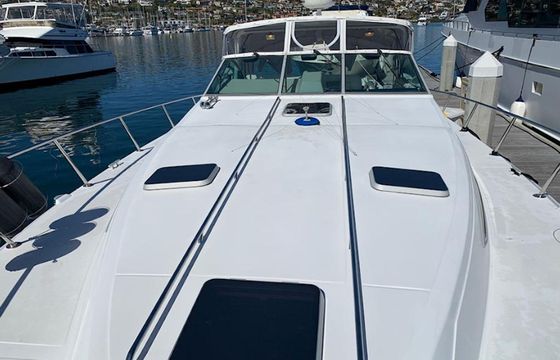 Sea Ray 460 The King