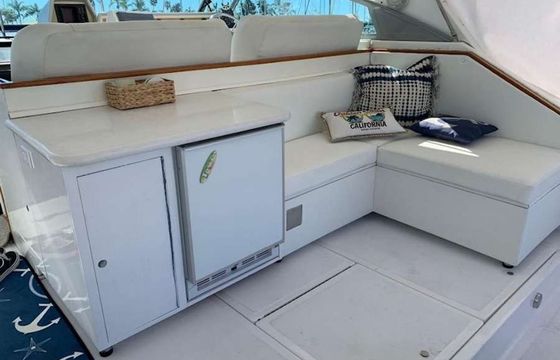 Sea Ray 460 The King