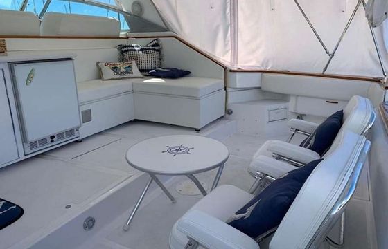 Sea Ray 460 The King