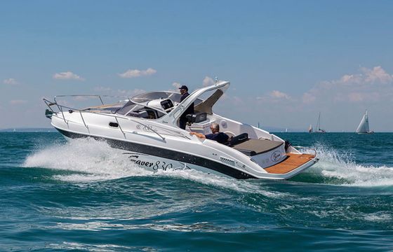 Saver 830 Saracen King