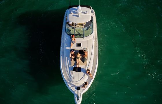 Sea Ray 50 Shogun