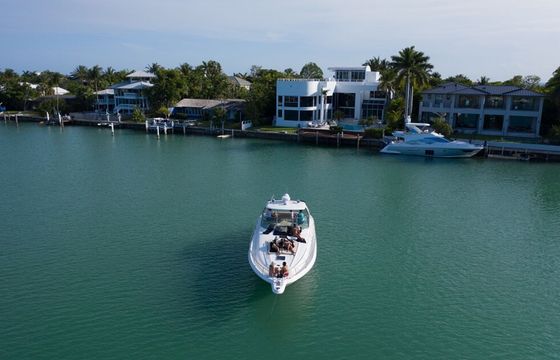 Sea Ray 50 Shogun