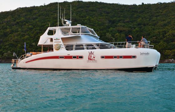 Serenity 52 Lion King