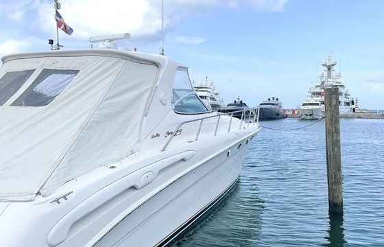 Sea Ray 540 High Adventure