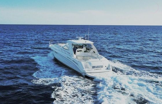 Sea Ray 540 High Adventure