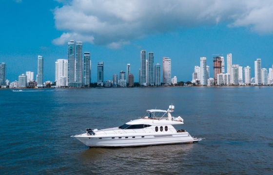 Sea Ray 56 Cortrick