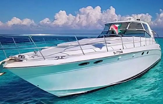 Sea Ray 60 Sundancer Triton